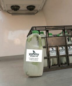 Frozen Cucumber Juice