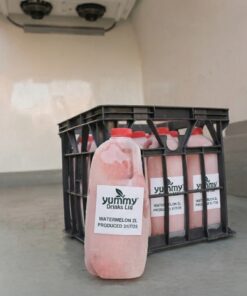 Frozen Watermelon Juice