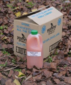 Guava Nectar
