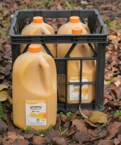 Mango Nectar