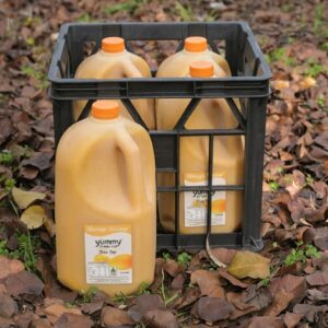 Mango Nectar